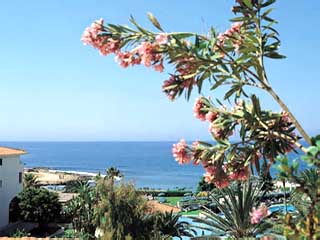 Amathus Beach Hotel Paphos: View