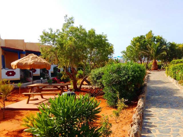 Zorbas Hotel Beach Village - 
