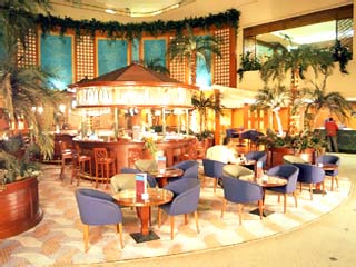 Radisson Blu Conference & Airport Hotel: Lobby