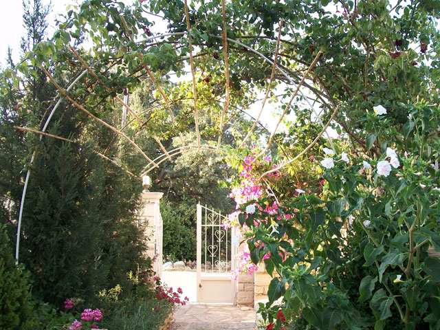 Villa Aloe - Exterior View
