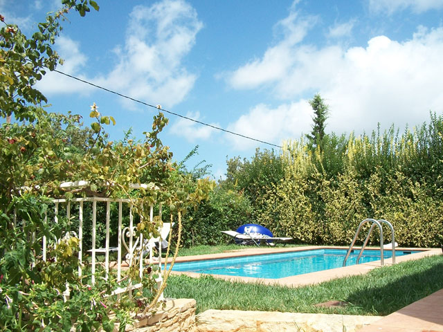 Villa Aloe - Swimming Pool
